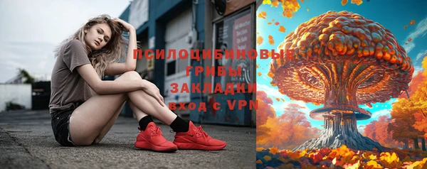 крисы Бородино
