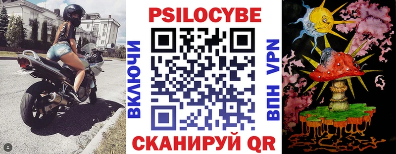 Галлюциногенные грибы Psilocybe  мега зеркало  Кубинка  где купить наркоту 
